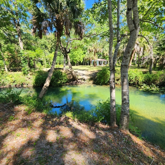 Meet your Posher, Brandy - Picture 2 of 6